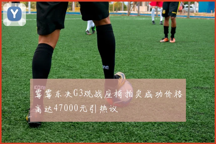 霉霉东决G3观战座椅拍卖成功价格高达47000元引热议